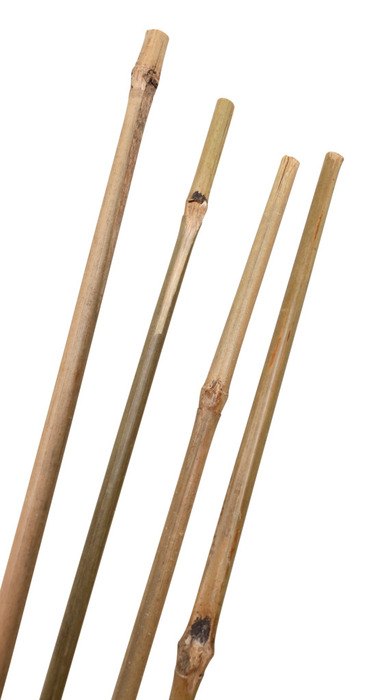 Bambuspinne 150 cm 4 stk. 